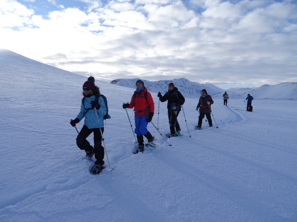 Akureyri Snowshoeing Tour