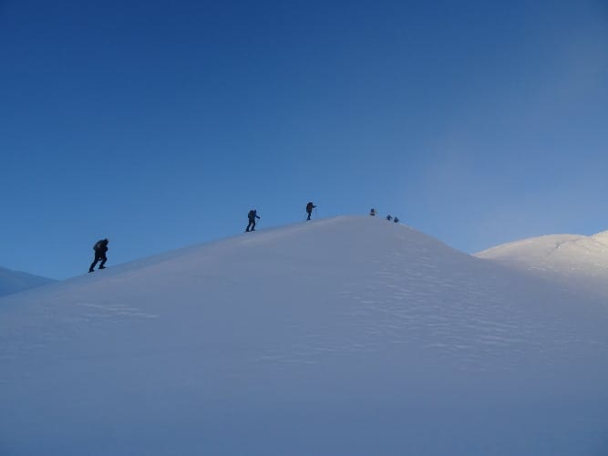 Akureyri Snowshoeing Tour